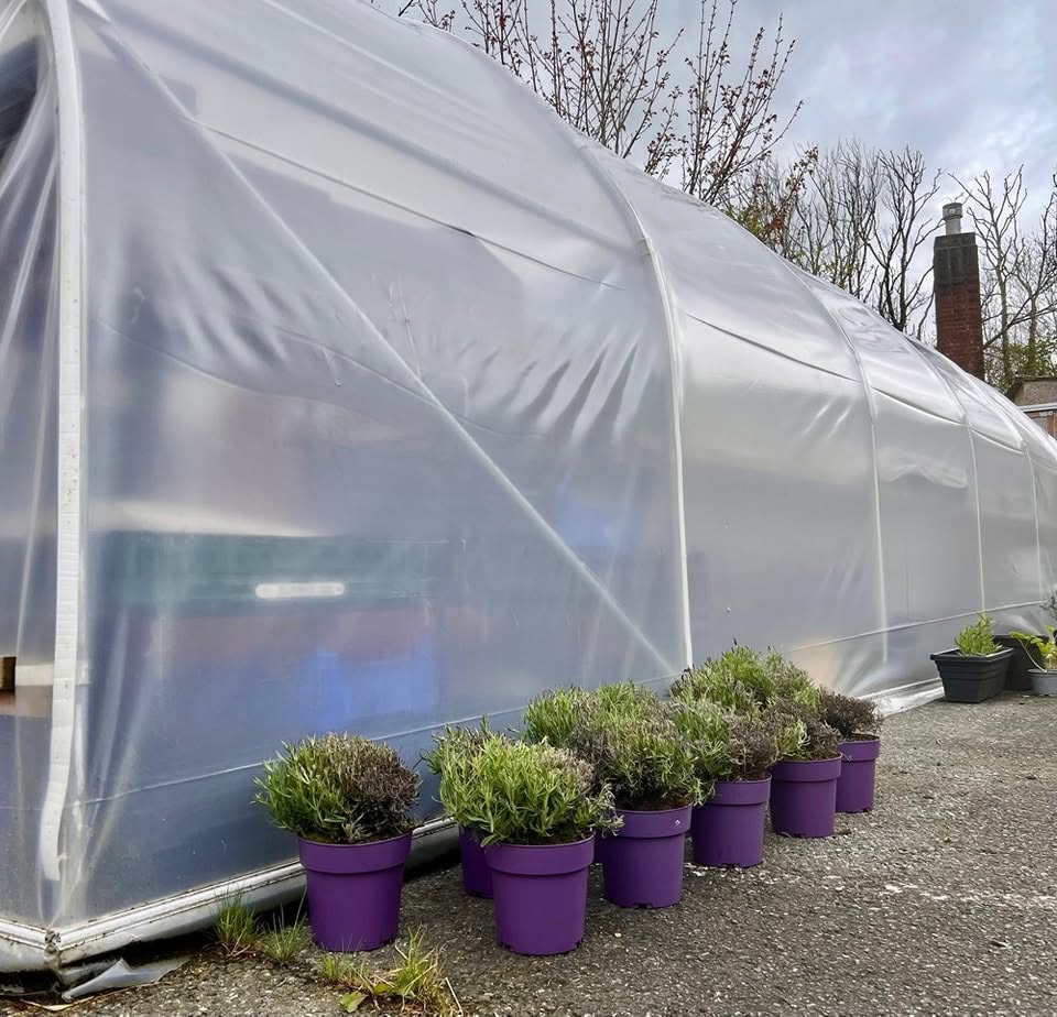 Outdoor gardening project at FRAME